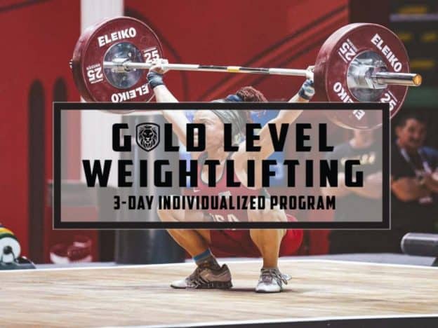 Gold Level: 3-day Individualized Program (Old Price)